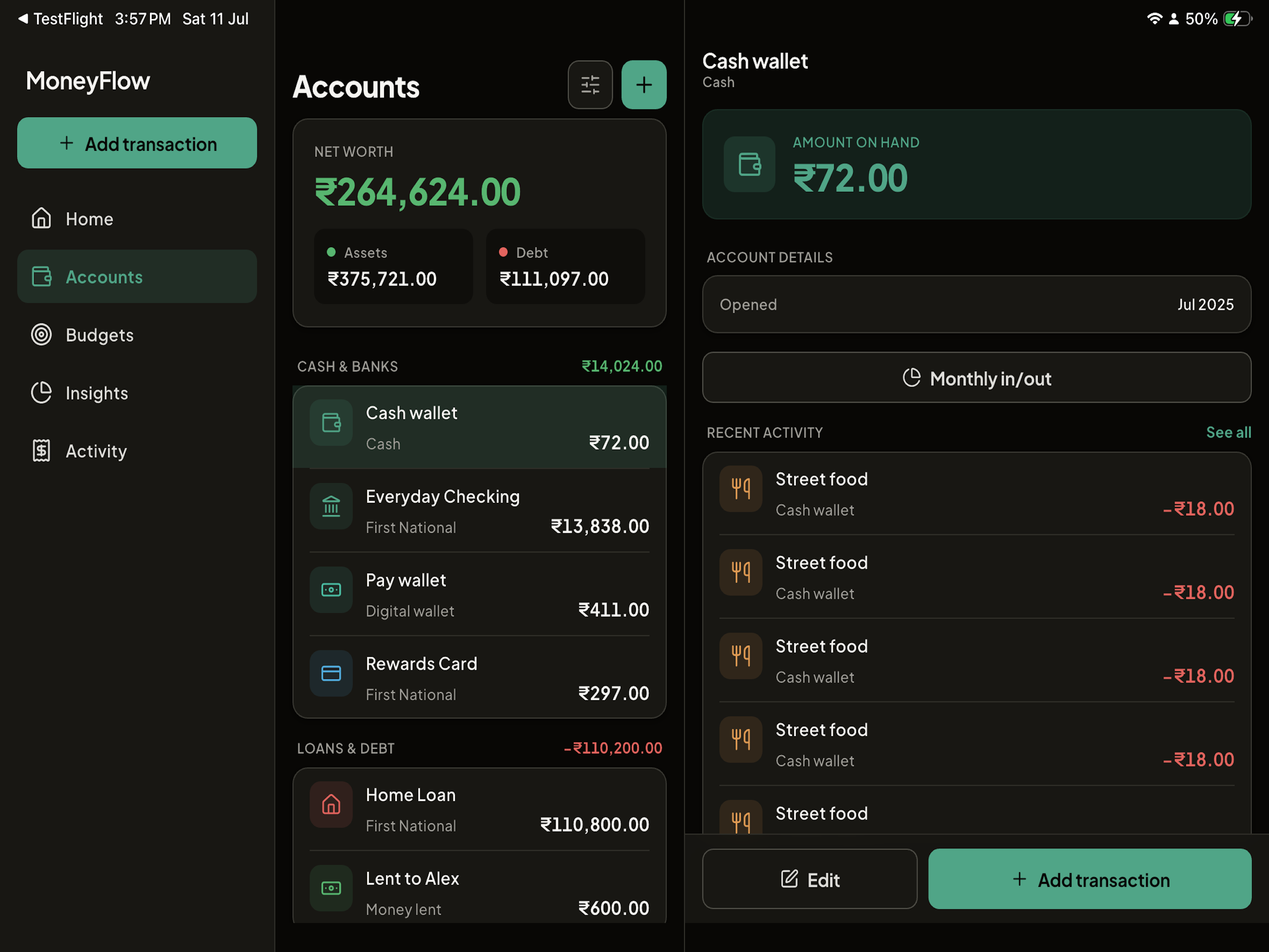 MoneyFlow accounts and balances on iPad